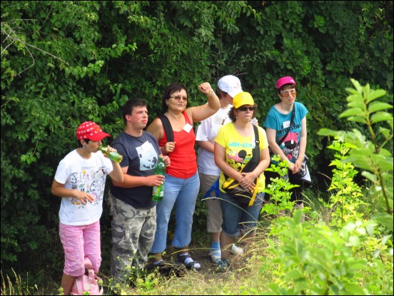 img00121.jpg