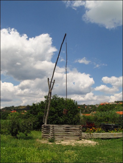 img00123.jpg