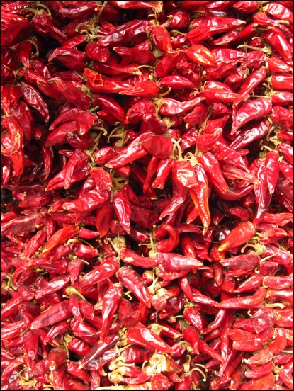 img00137.jpg