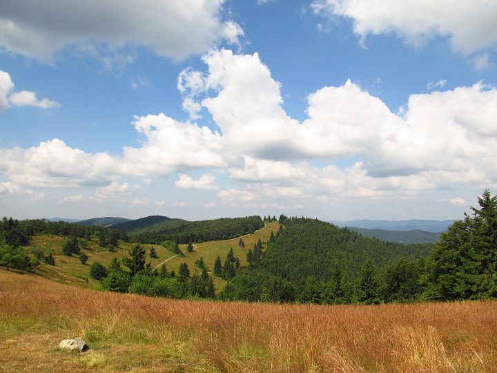 img00136.jpg