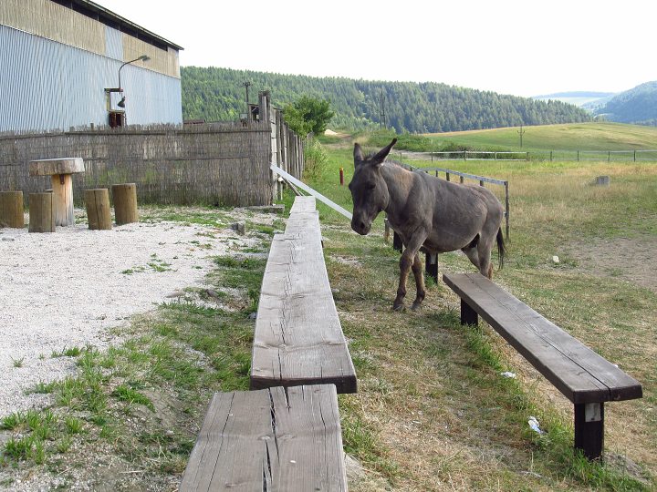 img00141.jpg