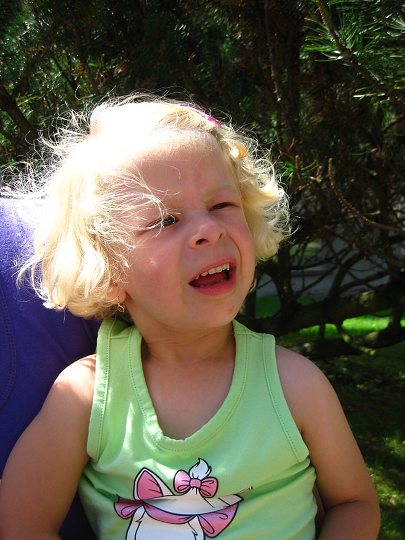 img00049.jpg