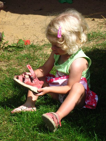 img00050.jpg