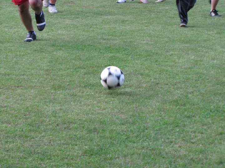 img00172.jpg