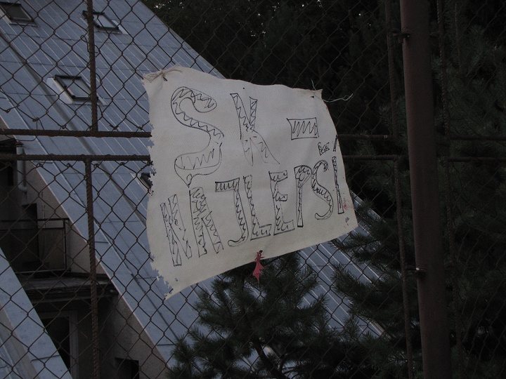 img00186.jpg