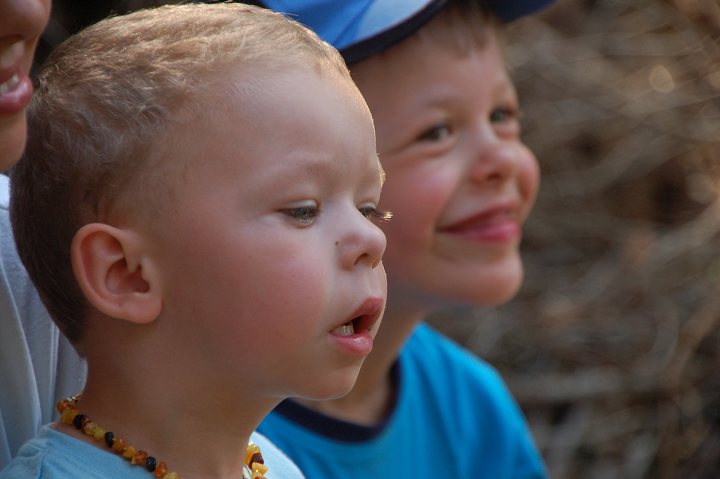 img00289.jpg