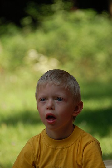 img00290.jpg