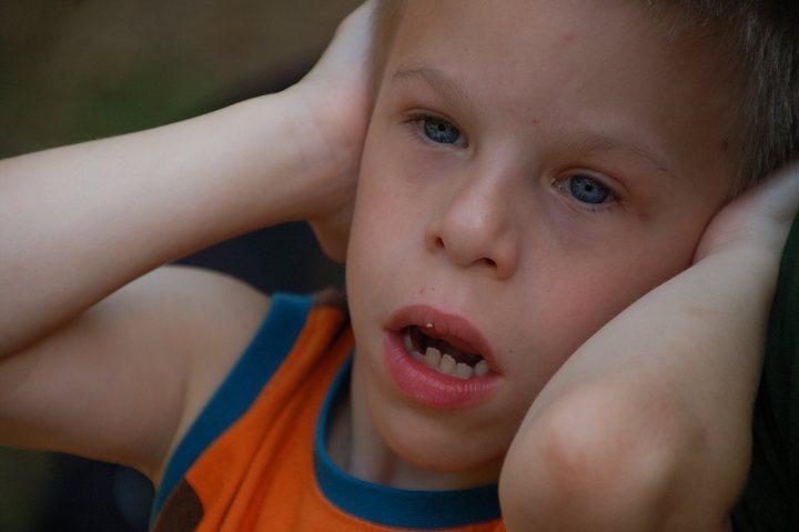 img00295.jpg
