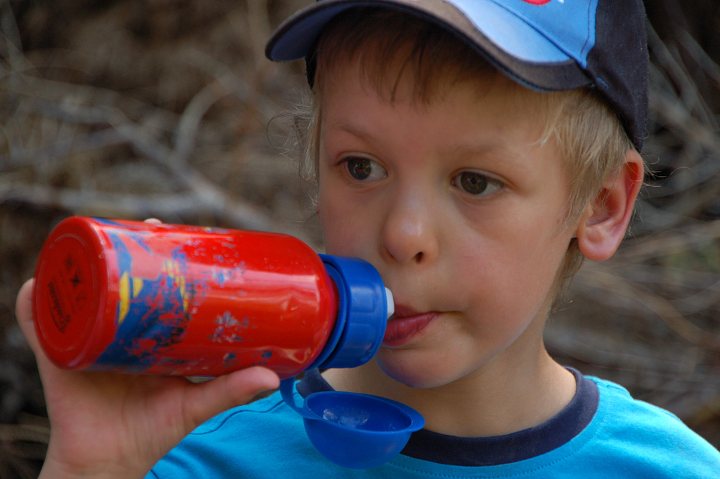 img00296.jpg
