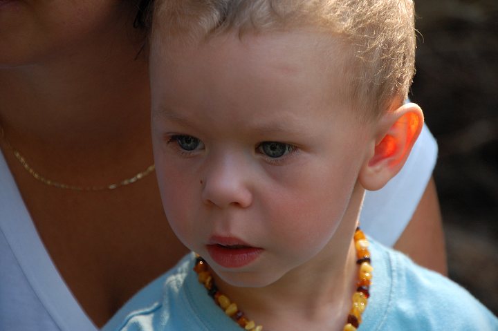 img00297.jpg