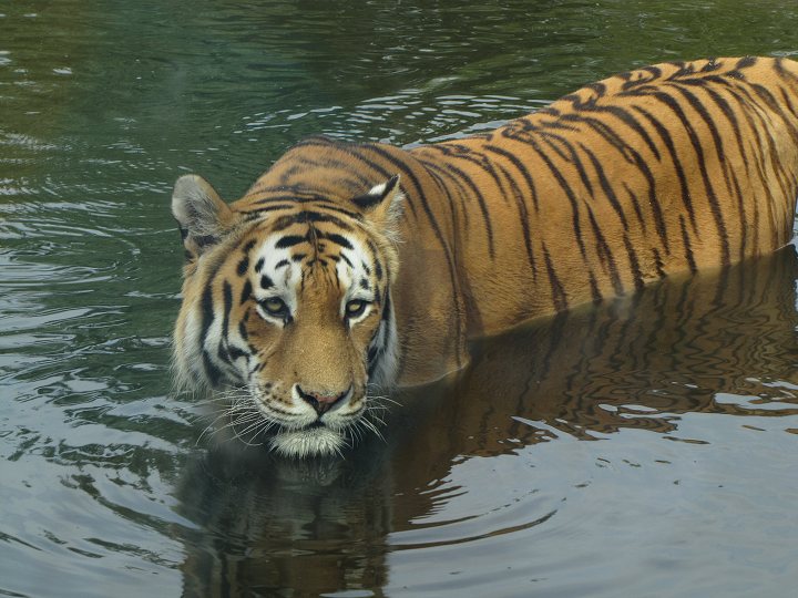 img00358.jpg