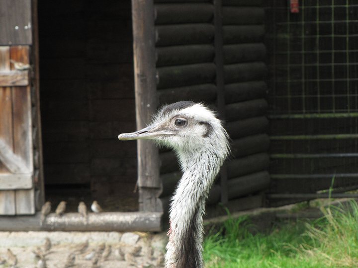 img00359.jpg