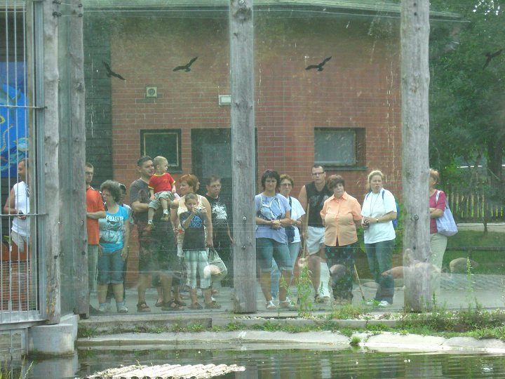img00363.jpg