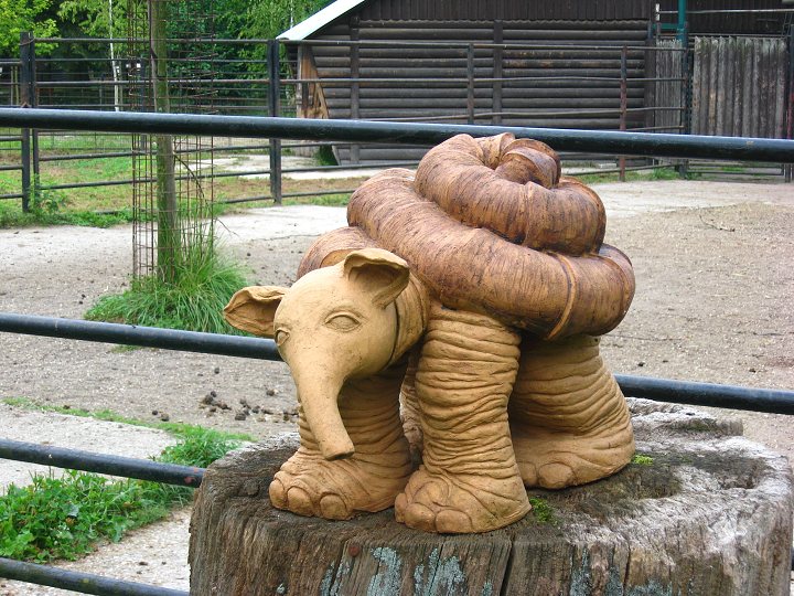 img00365.jpg