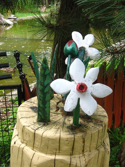 img00366.jpg