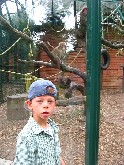 img00367.jpg