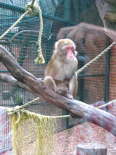 img00368.jpg